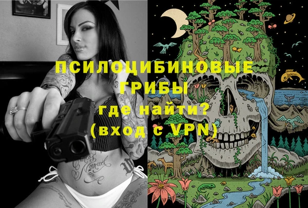 spice Алексеевка